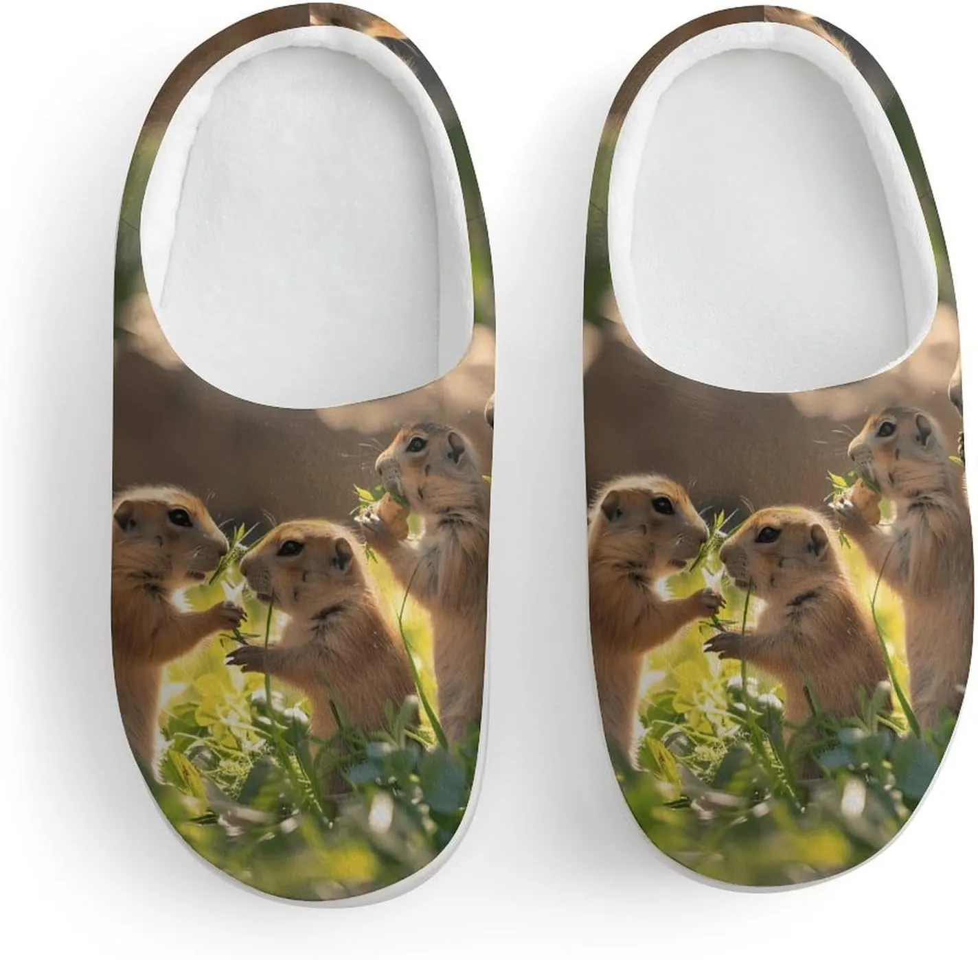 A Group of Prairie Dogs Cute Cotton Slippers Anti-Slip House Shoes Printed Slipper for Indoor Outdoor
