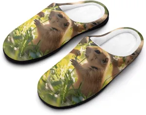 A Group of Prairie Dogs Printed Men's Cotton Slipper Shoes Soft Anti-Skid Sole Home Shoe for House Indoor Outdoor