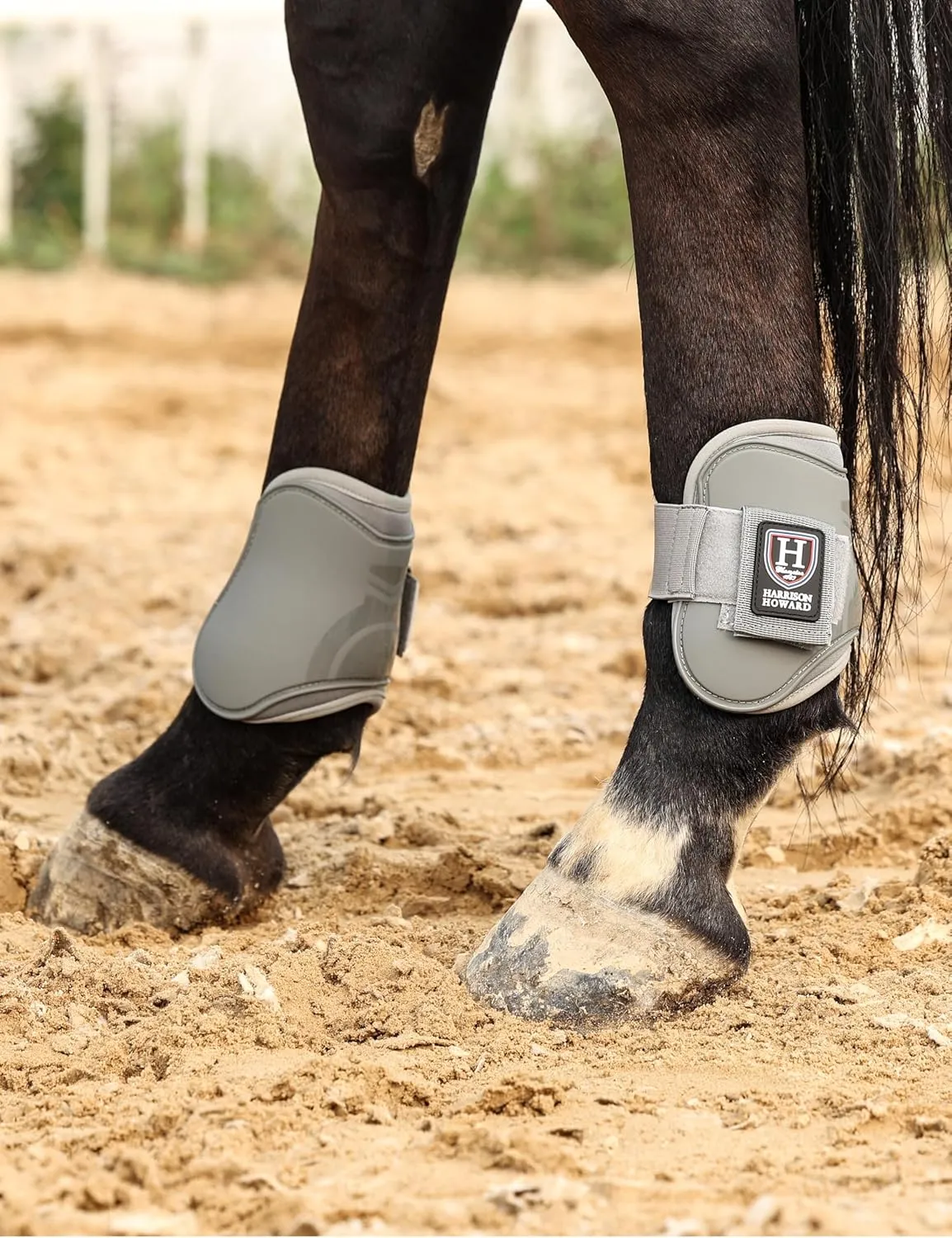 Harrison Howard Horse Tendon Boots Open Front/Fetlock Boot for Horse Protective Boots for Jumping, Trail Riding Set of 4