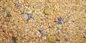 Herbal Foot Warmers,Herbal Pack, Heat Wrap,Organic,Flax Seed,Microwave Therapy,Heating Pad,Herbal Pack,Herbal,Slippers,Booties,Chamber Foot,Gone Fishing