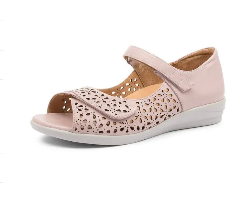 Ziera Daffodil Seashell